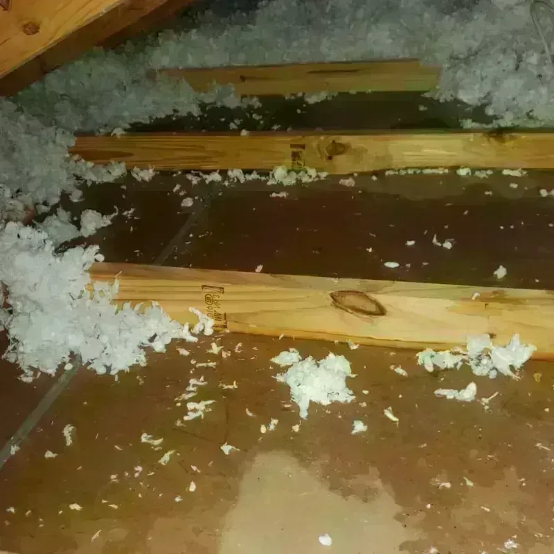 Attic Water Damage in Wheatland County, MT