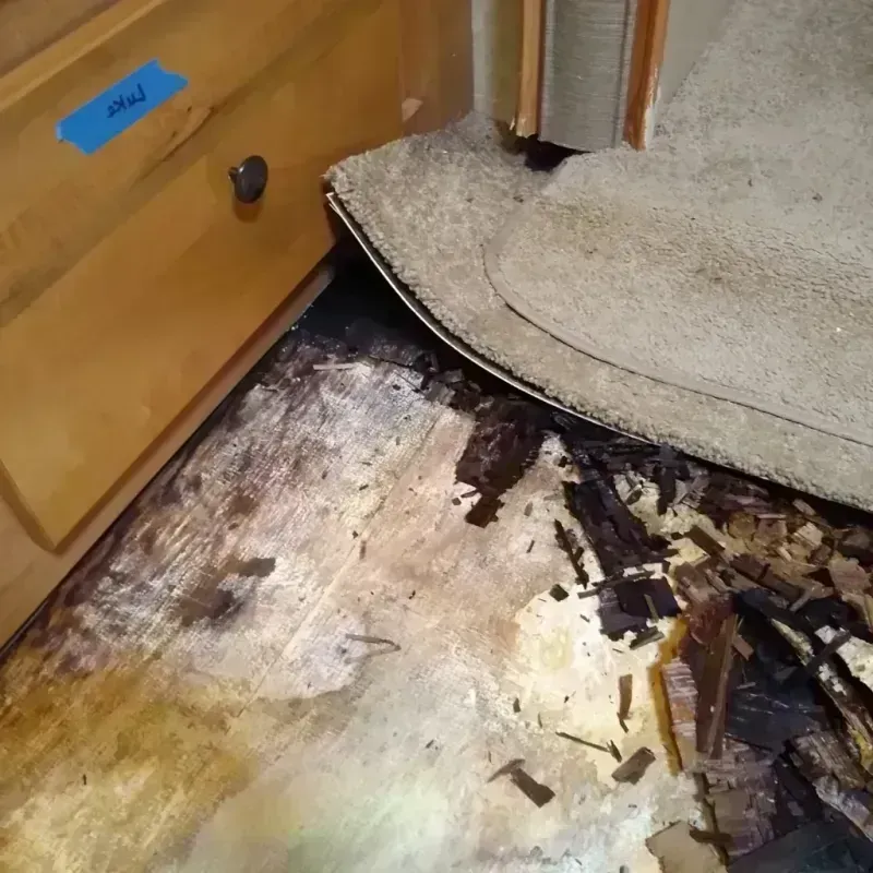 Wood Floor Water Damage in Wheatland County, MT